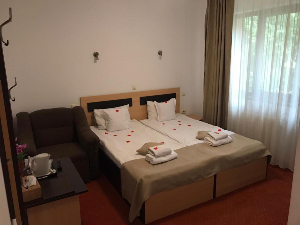 Flora Alpina Hotell Azuga Eksteriør bilde